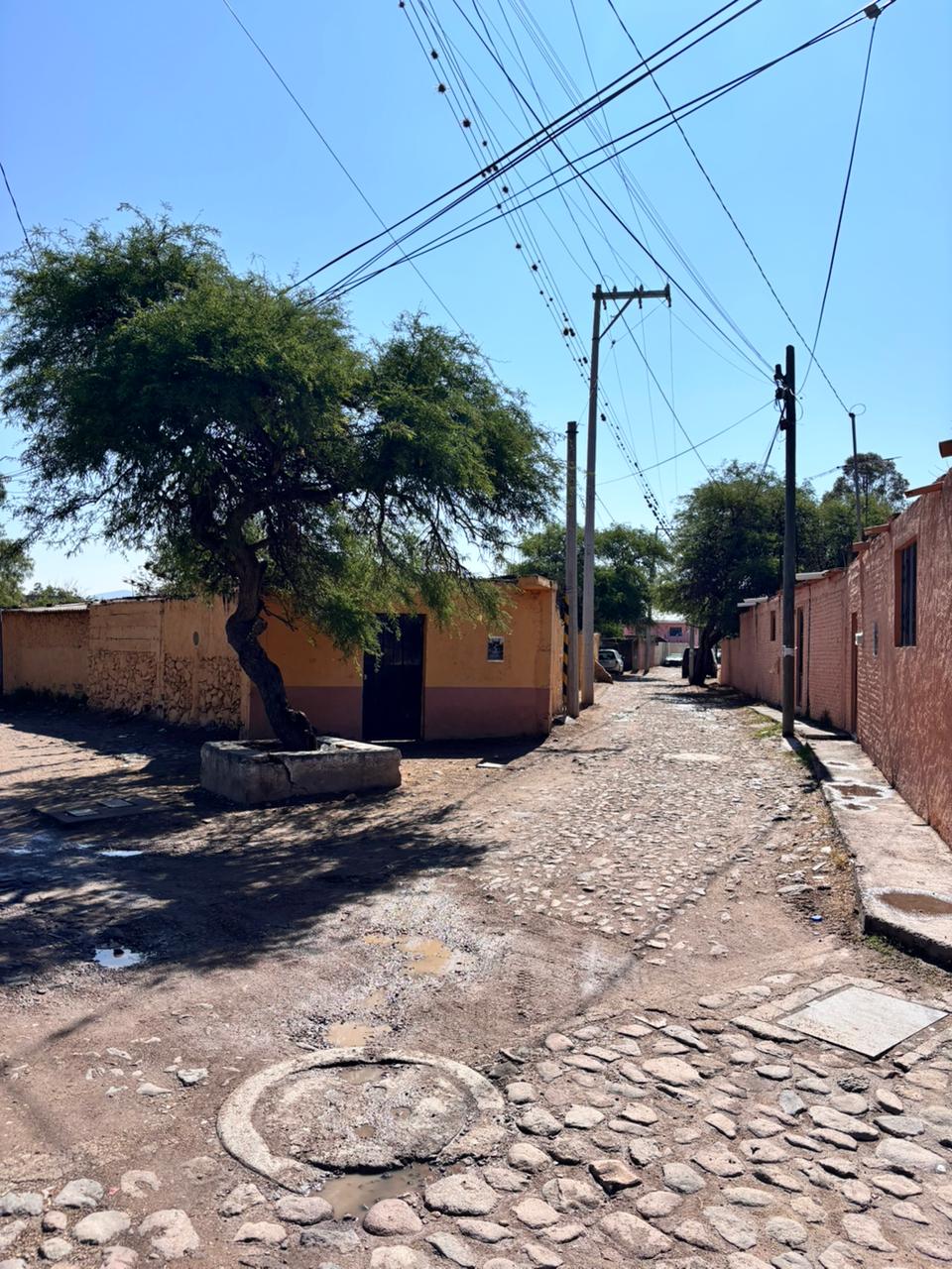Street corner with a tree in San Miguel de Allende, Mexico